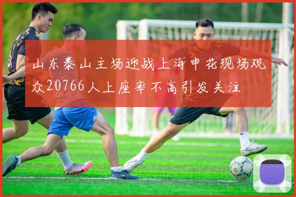 山东泰山主场迎战上海申花现场观众20766人上座率不高引发关注